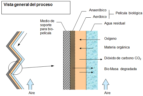Proceso-Bio-pelicula Proceso de biopelicula
