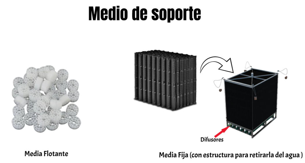 Medio soporte