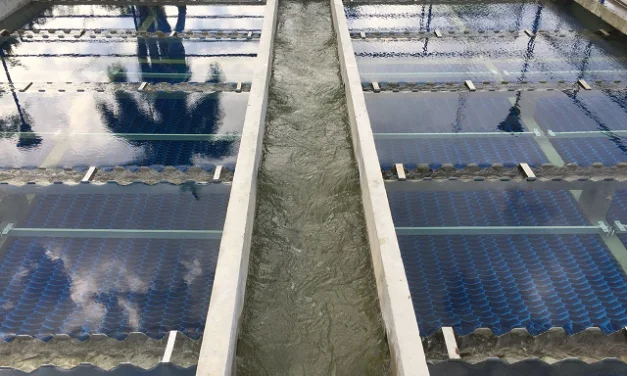 Tipos de Sedimentadores Tubulares